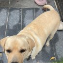 타임인펜션 이미지