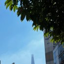 더마름 잠실점 이미지