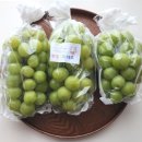 양감농장 이미지