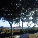 일과1리 이미지