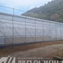 햇살담은농장 이미지