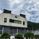 강릉유치원 | 강릉 강아지유치원,호텔링 파인독 애견카페 솔직 후기