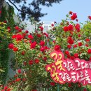 만안구청-5 이미지