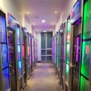 K팝스타코인노래뮤비방 이미지