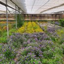 사곡농장 이미지