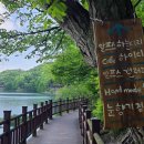 힐링행정사사무소 이미지