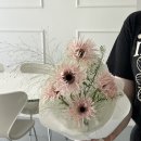 이플스튜디오 이미지