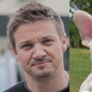 개벤져스