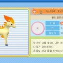 원샷클리어