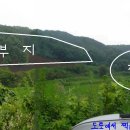 운정 태양광발전소 이미지