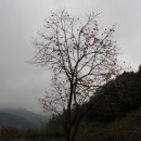 함동진 농장 이미지