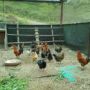 교훈농장 이미지