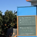 머리쉼터 | 제주 서귀포 가볼만한곳 쉼터체험농장 : 제주 귤따기 체험 후기, 제주 겨울 여행 코스 추천