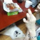 게이트볼장내 공중화장실 | 명절에 유럽으로 놀러 가는 망나니 트립 후기 <下>