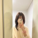 셀프로 커트하고 망한머리 허쉬컷으로 수습 !! / 광주 동명동 미용실 레이그 채아