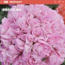 J.K 농장 이미지