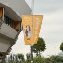 딩고 | 하이라이트 2025 딩고 뮤직 콘서트 킬링 보이스 후기