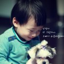 순심이
