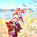 박금순농장 이미지