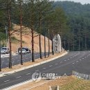 사임당로 이미지