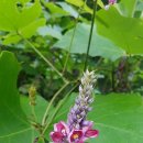 진흥아파트경로당 이미지