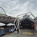 금향초옆(고가 밑) | 해질녘과 야경을 다 잡은 방콕 로얄 프린세스 크루즈! 솔직한 경험 및 후기! (feat. 클룩 예매)