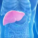 영지메디컬 이미지