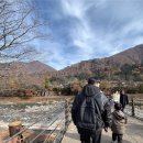 한국종합카 | 나고야 근교 시라카와고 렌터카 여행