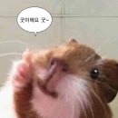 스크린헤어 | 노원 남자머리 전문 #하이든맨즈헤어 후기 (필러스컷, 다운펌)