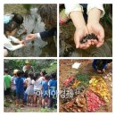 섬진강도깨비마을 유아숲체험원 이미지