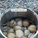 이마트24태안몽산포중앙점 | 충남 태안 몽산포해수욕장 갯벌체험 해루질 준비물 물때 꿀팁 후기