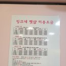 빙고네펫샵 이미지