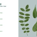 청림조경 이미지