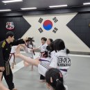 타이거 합기도장 이미지