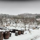 정옥순농장 이미지