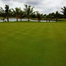 선라이즈 골프클럽 이미지