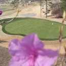 숲에그린골프클럽 이미지