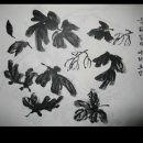 사군자 국화 이미지