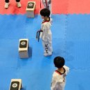 시흥시 체육관 | [시흥시체육관]초등 저학년 2024년 시흥시 태권도대회 참가 후기_2024.04.27(토) 격파, 품새