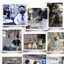 퓨어방역
