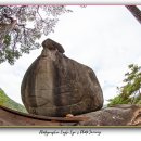 영월통로 이미지