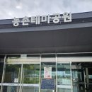 밀양농업협동조합내일지점 | 밀양 아이랑 가볼만한곳, 선샤인 밀양 테마파크 농촌테마공원 에코팜빌리지 실내놀이터 체험후기