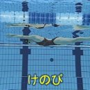 [수영이론8] 스트림 라인 이미지