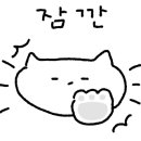 육회에빠지다 이미지