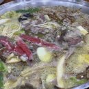 장수버섯 이미지