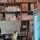 지정환임실치즈피자 | 486번째 먹기 - 대전 봉명동 맛집 [빈스포차] / 대전 갈마동 배달 맛집 [지정환임실치즈피자]