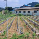 동량면사무소 이미지