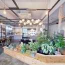 대구남덕초등학교 이미지