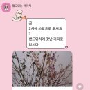 쓰닮 이미지