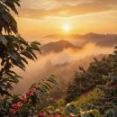 (주)샤인위드컴페니언 이미지